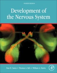 Development of the Nervous System