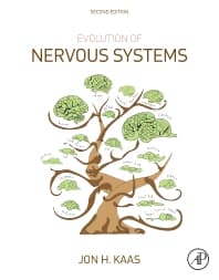 Evolution of Nervous Systems