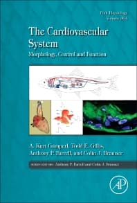 The Cardiovascular System