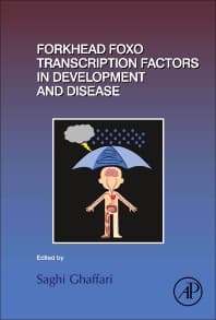 Forkhead FOXO Transcription Factors in Development and Disease