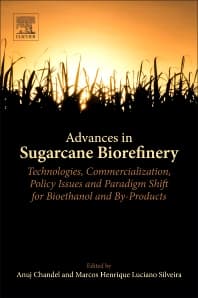 Advances in Sugarcane Biorefinery