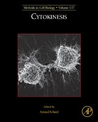 Cytokinesis