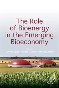 The Role of Bioenergy in the Emerging Bioeconomy