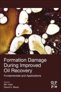 Formation Damage during Improved Oil Recovery