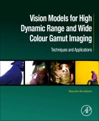 Vision Models for High Dynamic Range and Wide Colour Gamut Imaging