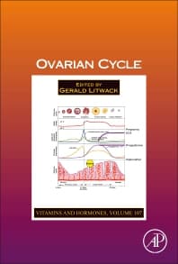 Ovarian Cycle