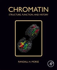 Chromatin