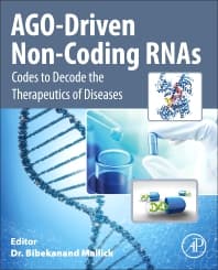 AGO-Driven Non-Coding RNAs