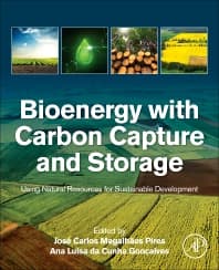 Bioenergy with Carbon Capture and Storage