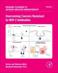 Overcoming Cancers Resistant to HER-2 Antibodies