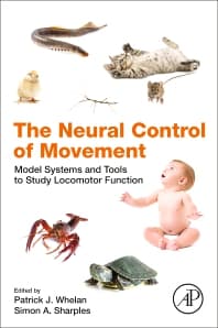 The Neural Control of Movement