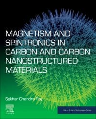 Magnetism and Spintronics in Carbon and Carbon Nanostructured Materials