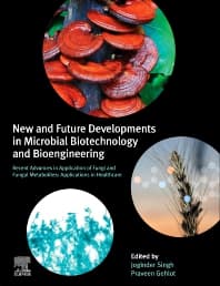 New and Future Developments in Microbial Biotechnology and Bioengineering