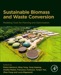 Modeling Tools for Planning Sustainable Biomass and Waste Conversion into Energy and Chemicals