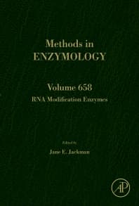 RNA Modification Enzymes