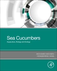 Sea Cucumbers