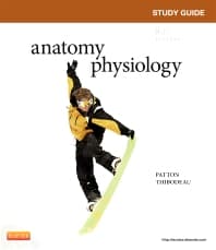 Study Guide for Anatomy & Physiology