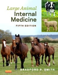 Large Animal Internal Medicine