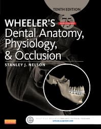 Wheeler's Dental Anatomy, Physiology and Occlusion