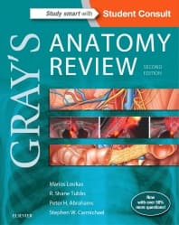 Gray's Anatomy Review