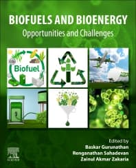 Biofuels and Bioenergy