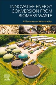 Innovative Energy Conversion from Biomass Waste