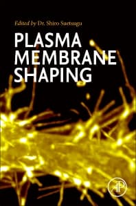 Plasma Membrane Shaping