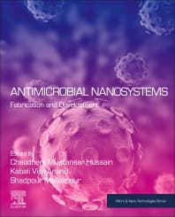 Antimicrobial Nanosystems