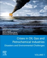 Crises in Oil, Gas and Petrochemical Industries - 1st Edition