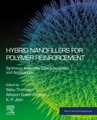 Hybrid Nanofillers for Polymer Reinforcement