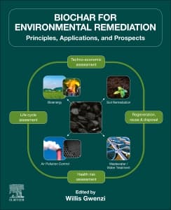Biochar for Environmental Remediation