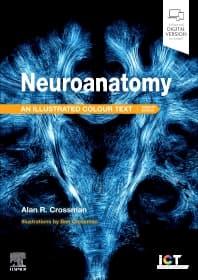 Neuroanatomy: Illustrated Colour Text - 7th Edition | Elsevier Shop
