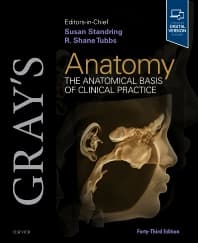 Gray's Anatomy