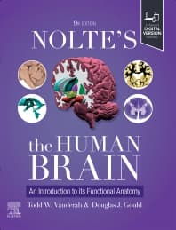 Nolte's The Human Brain