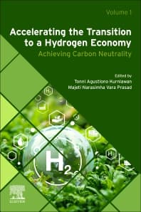 Accelerating the Transition to a Hydrogen Economy