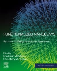 Functionalized Nanoclays