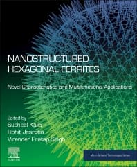 Nanostructured Hexagonal Ferrites