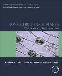 Non-coding RNA in Plants