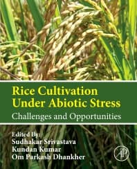 Rice Cultivation Under Abiotic Stress