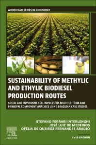 Sustainability of Methylic and Ethylic Biodiesel Production Routes