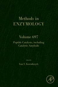 Peptide Catalysts, including Catalytic Amyloids