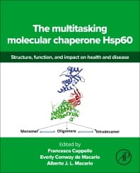 The multitasking molecular chaperone Hsp60