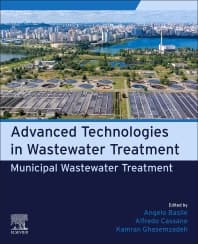 Municipal Wastewater Treatment