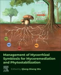 Management of Mycorrhizal Symbiosis for Mycoremediation and Phytostabilization