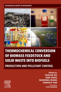 Thermochemical Conversion of Biomass Feedstock and Solid Waste into Biofuels: Production and Pollutant Control