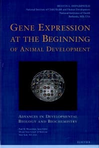 Gene Expression at the Beginning of Animal Development