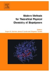 Modern Methods for Theoretical Physical Chemistry of Biopolymers