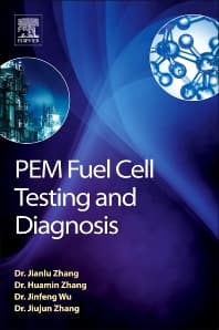 PEM Fuel Cell Testing and Diagnosis