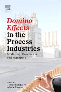 Domino Effects in the Process Industries