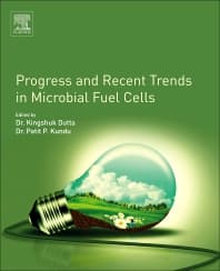 Progress and Recent Trends in Microbial Fuel Cells